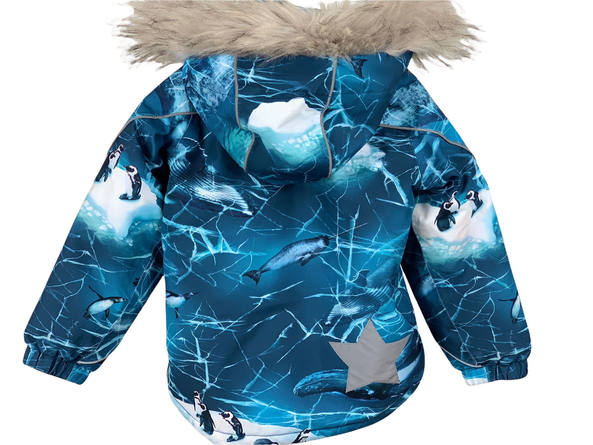 Ensemble ski Molo/Napapijri 4 ans
